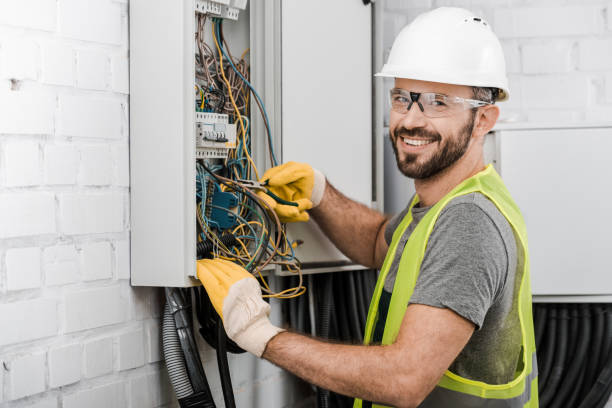 Best Electrical Rewiring Services  in Swartz Creek, MI