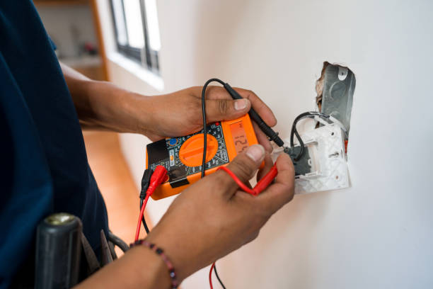 Best Affordable Electrician  in Swartz Creek, MI