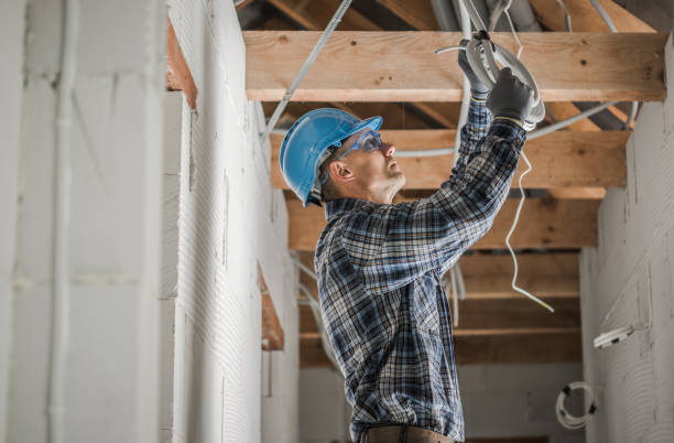 Best Generator Installation Services  in Swartz Creek, MI