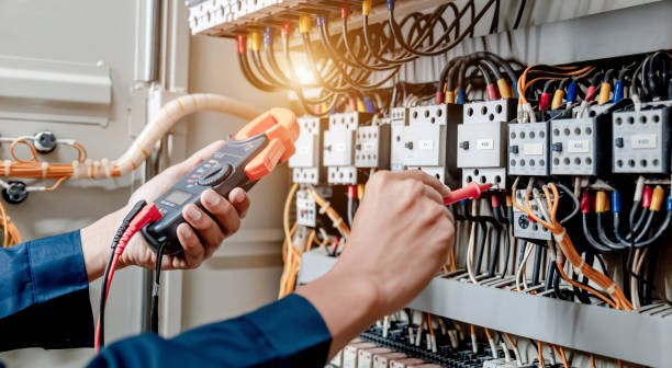 Best Licensed Electrician  in Swartz Creek, MI