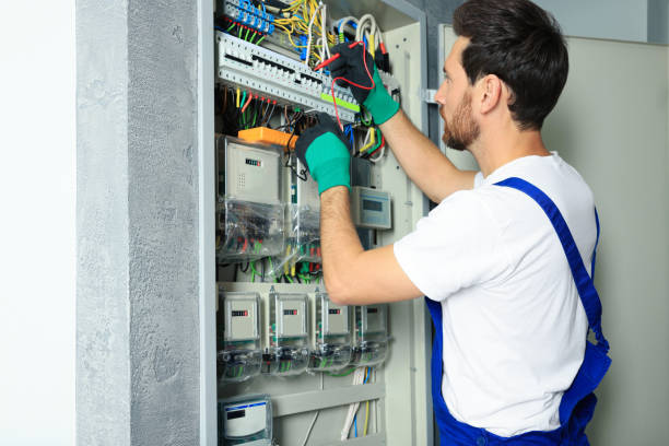 Best Electrical Repair Services  in Swartz Creek, MI