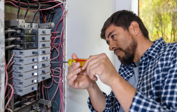 Best Electrical System Inspection  in Swartz Creek, MI
